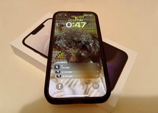 iPhone 16 Series Resmi Mendapatkan Izin Edar di Indonesia
